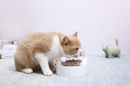 PETKIT Fresh Nano Bowl