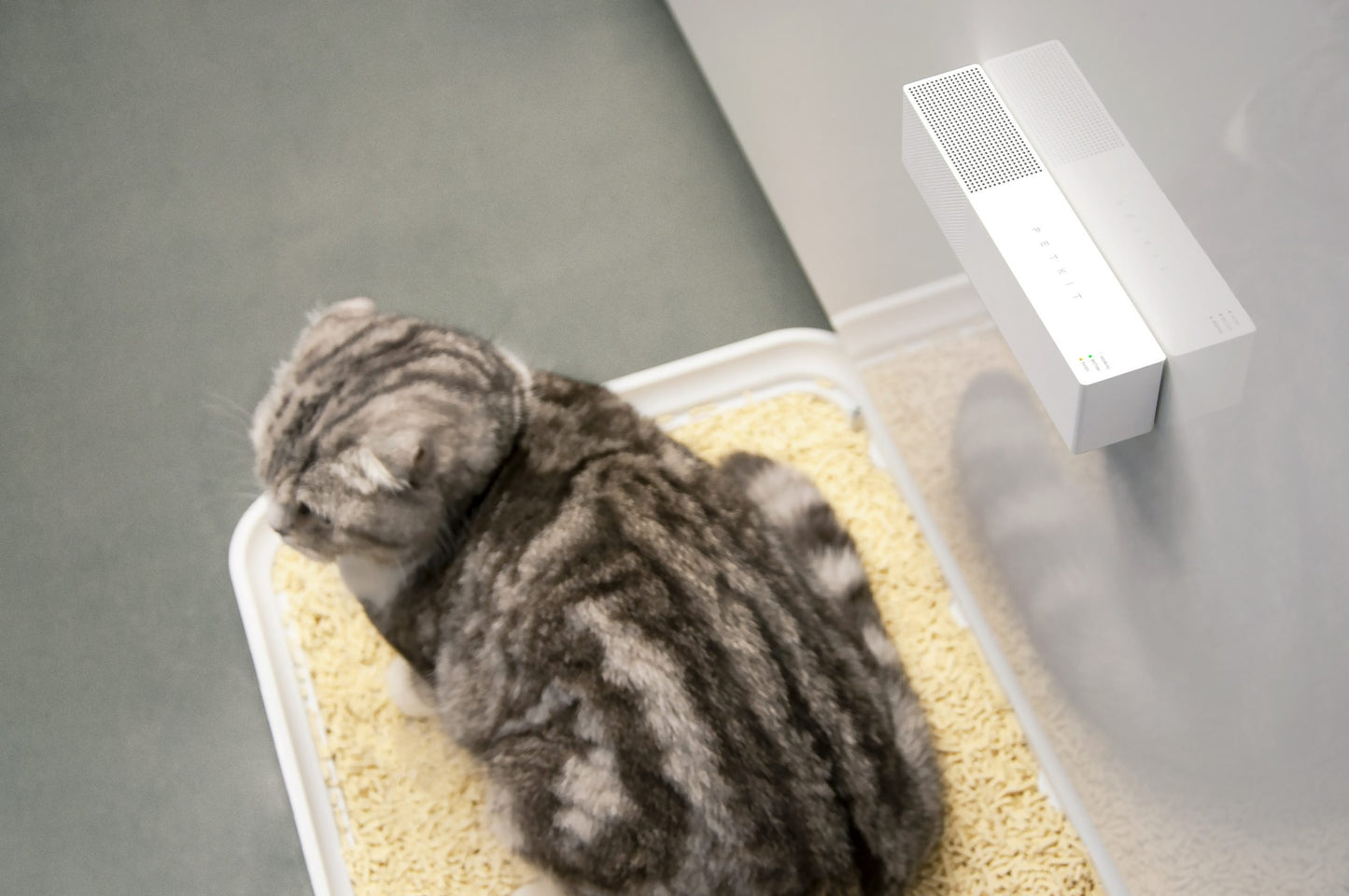 PETKIT Pura Air Smart Odour Eliminator